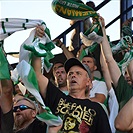 DĚNÍ NA TRIBUNÁCH: Sparta - Bohemians