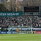 Bohemians - Mladá Boleslav 4:0 (1:0)