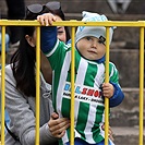 Mladá Boleslav - Bohemians 4:1 (0:0) 