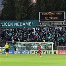 Bohemians - Třinec 2:1 (1:1)