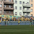 Bohemians - Opava 2:0 (1:0)