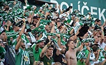 Dění na tribunách: Bohemians - Karviná