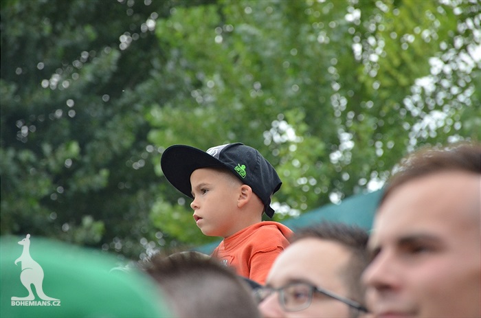 DĚNÍ NA TRIBUNÁCH: Bohemians - Hradec