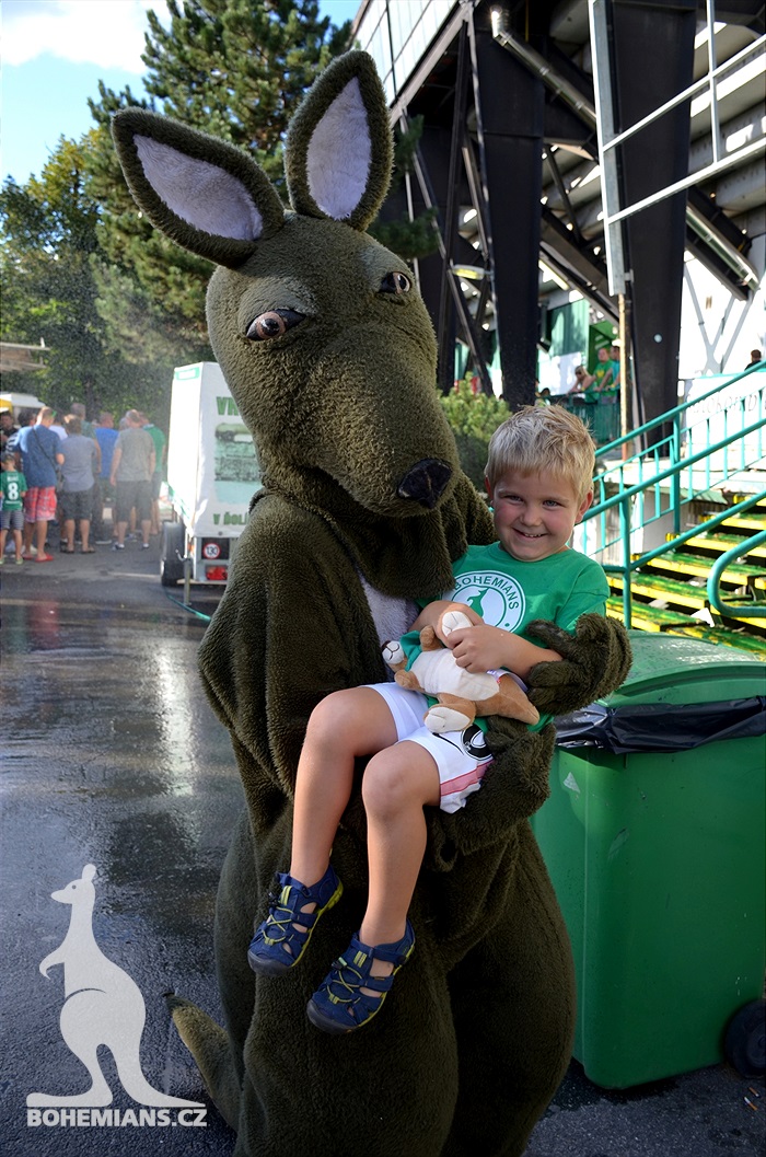 DĚNÍ NA TRIBUNÁCH: Bohemians - Karviná