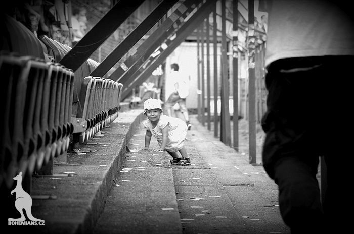 DĚNÍ NA TRIBUNÁCH: Bohemians - Karviná