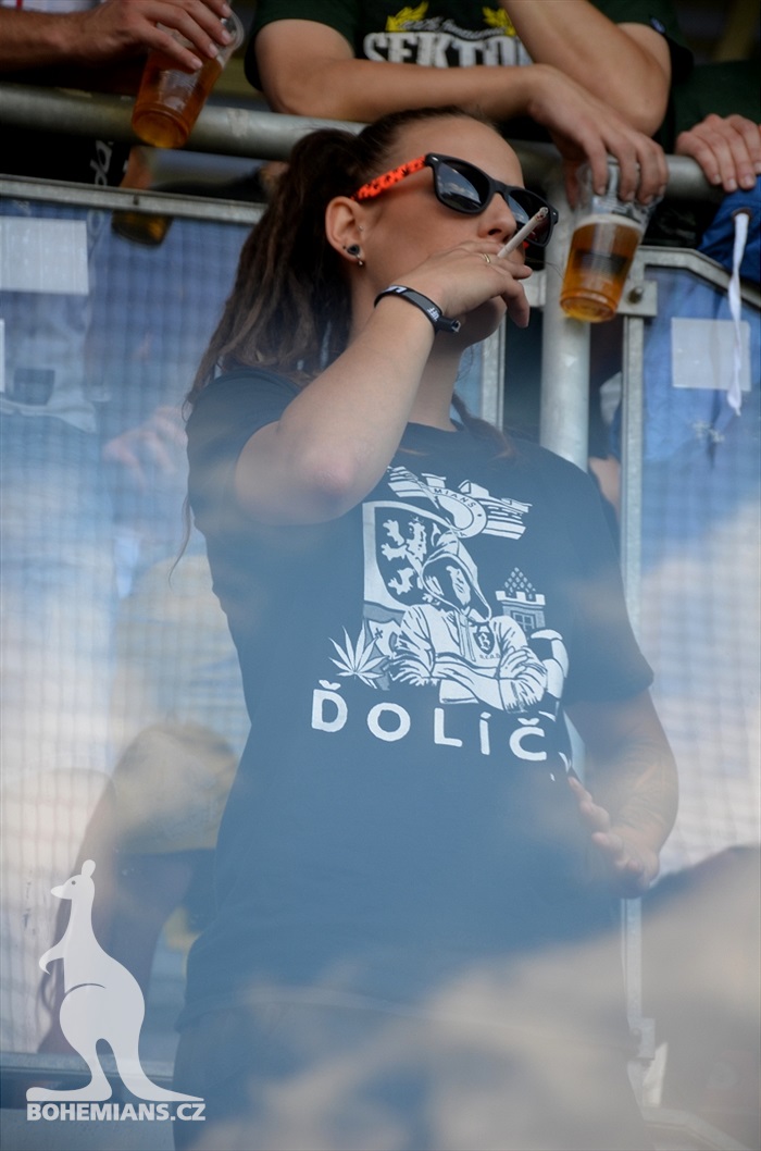 DĚNÍ NA TRIBUNÁCH: Plzeň - Bohemians