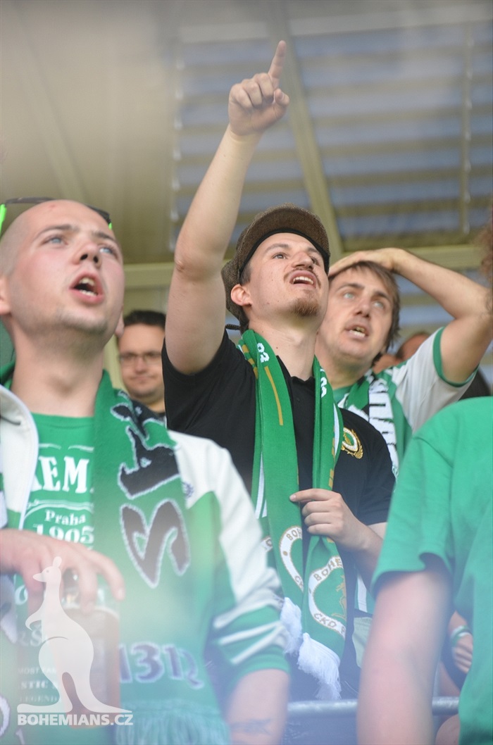 DĚNÍ NA TRIBUNÁCH: Plzeň - Bohemians