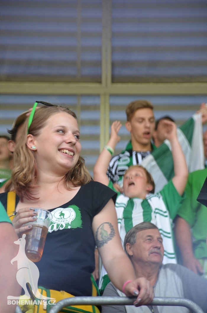DĚNÍ NA TRIBUNÁCH: Plzeň - Bohemians