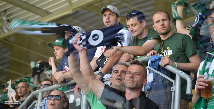 DĚNÍ NA TRIBUNÁCH: Plzeň - Bohemians