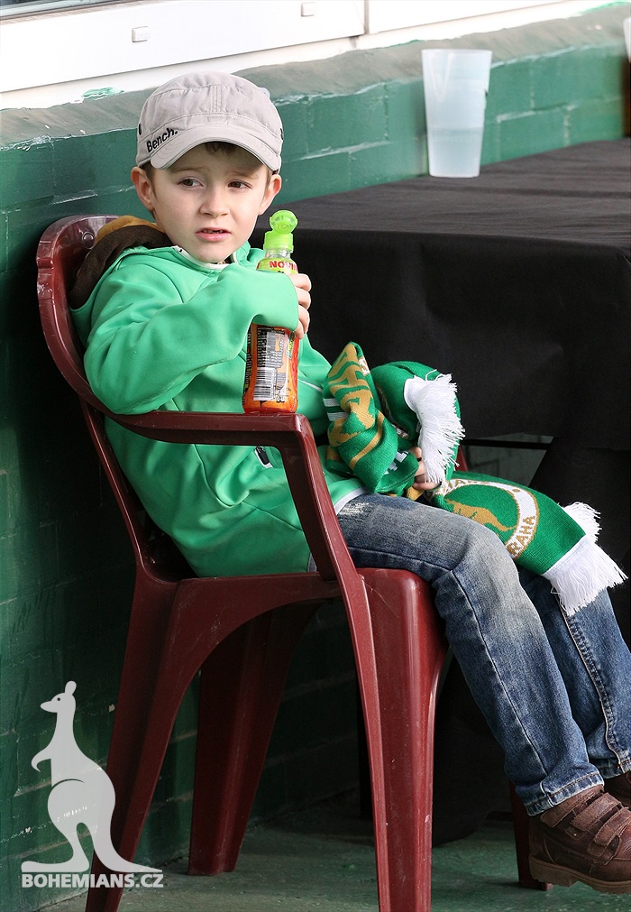 Dění na tribunách: Bohemians - Plzeň