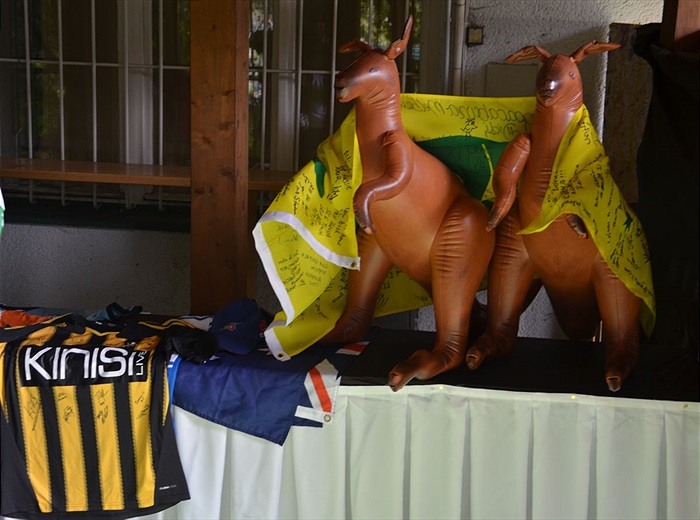 Klokani přiletěli z Austrálie