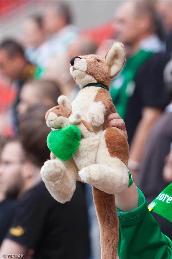 Bohemians 1905 - Teplice1:1