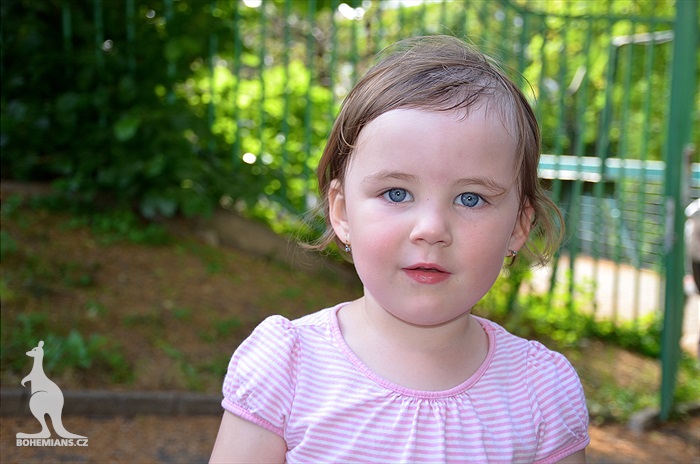 Dění na tribunách - Dětský den a utkání se Slovanem Bratislava