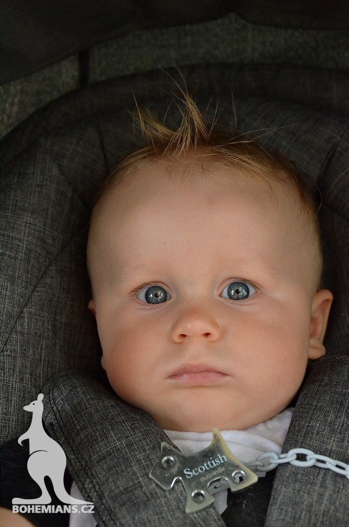 DĚNÍ NA TRIBUNÁCH: Bohemians - Pardubice