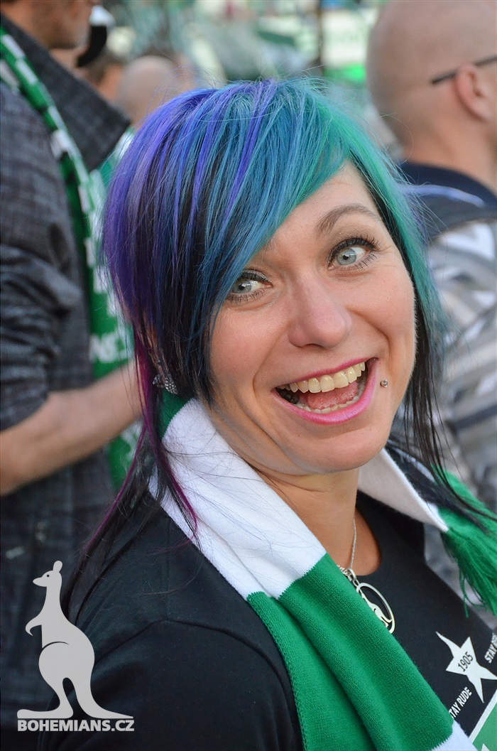 DĚNÍ NA TRIBUNÁCH: Bohemians - Příbram