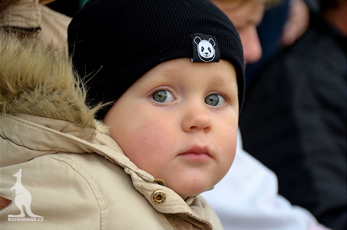 Dění na tribunách: Bohemians - Jablonec