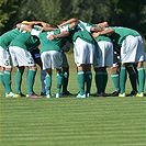 Bohemians Praha 1905 - 1. FK Příbram 1:2 (1:1)