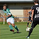 Bohemians Praha 1905 - 1. FK Příbram 1:2 (1:1)