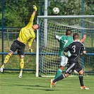 Bohemians Praha 1905 - 1. FK Příbram 1:2 (1:1)