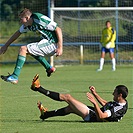 Bohemians Praha 1905 - 1. FK Příbram 1:2 (1:1)