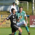 Bohemians Praha 1905 - 1. FK Příbram 1:2 (1:1)