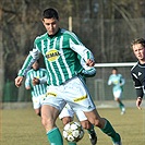 Bohemians Praha 1905 - FK Viktoria Žižkov 1:1 (1:1)