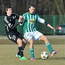 Bohemians Praha 1905 - FK Viktoria Žižkov 1:1 (1:1)