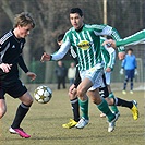 Bohemians Praha 1905 - FK Viktoria Žižkov 1:1 (1:1)