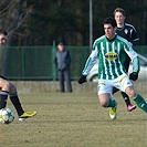Bohemians Praha 1905 - FK Viktoria Žižkov 1:1 (1:1)