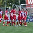 Bohemians Praha 1905 - FK Crvena zvezda Bělehrad 0:1 (0:0)