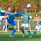 Bohemians Praha 1905 - FC Baník Ostrava 2:1 (2:0) 