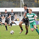 Bohemians B - České Budějovice B 1:0 (0:0)