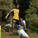 příprava FC MAS Táborsko - Bohemians Praha 1905 1:0 (0:0)