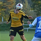 příprava FC MAS Táborsko - Bohemians Praha 1905 1:0 (0:0)