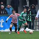 Žižkov - Bohemians 1:3 (1:1)