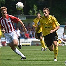 Bohemians 1905 - Viktoria Žižkov 1:2 (1:1)