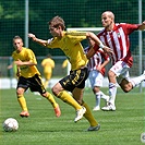 Bohemians 1905 - Viktoria Žižkov 1:2 (1:1)