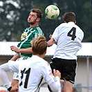 Bohemians Praha 1905 - SK Dynamo Č.Budějovice 2:1 (1:1)