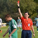 Bohemians Praha 1905 - SK Dynamo Č.Budějovice 2:1 (1:1)