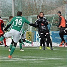 Bohemians Praha 1905 - FC Hradec Králové 3:0 (2:0)