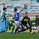 Bohemians Praha 1905 - FK Mladá Boleslav 0:0