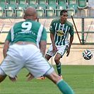 Bohemians Praha 1905 - SK Dynamo České Budějovice 2:0 (2:0)