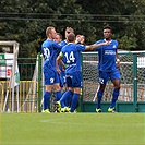 Bohemians Praha 1905 - TS Podbeskidze Bielsko Biala 4:3 (3:3)