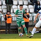 Bohemians - Mladá Boleslav 2:1 (0:1)