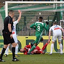 Bohemians - Mladá Boleslav 2:1 (0:1)