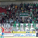 FC Viktoria Plzeň - Bohemians Praha 1905 1:1 (1:1)