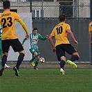 FK Oleksandrija - Bohemians Praha 1905 1:1 (0:0)