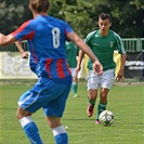 Bohemians Praha 1905 - FK Viktoria Plzeň 4:4 (2:3)