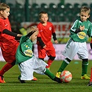 Bohemians Praha 1905 - FC Zbrojovka Brno 0:0 (0:0)