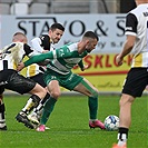 Hradec Králové - Bohemians 2:2 (1:0)